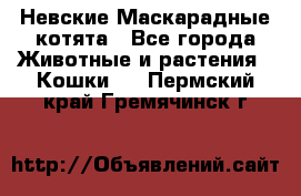 Невские Маскарадные котята - Все города Животные и растения » Кошки   . Пермский край,Гремячинск г.